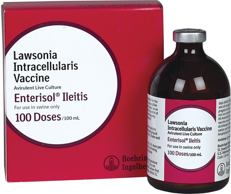 Enterisol Ileitis