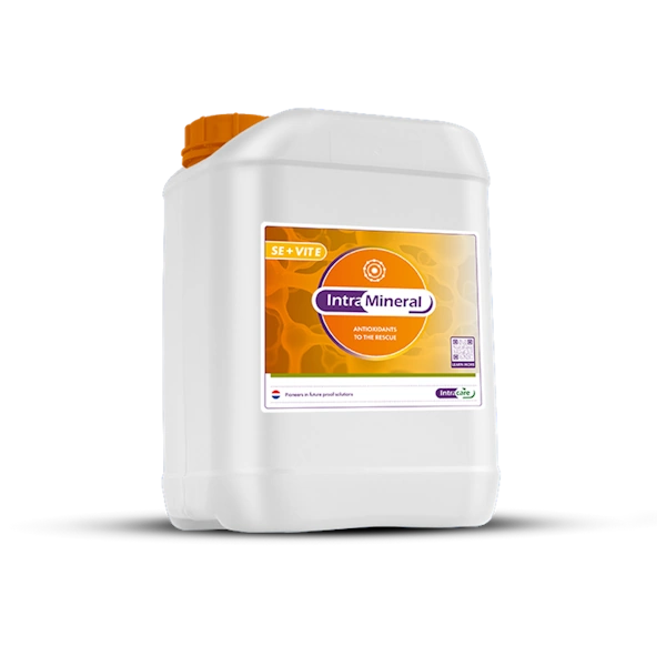 INTRA MINERAL Se+Vit E